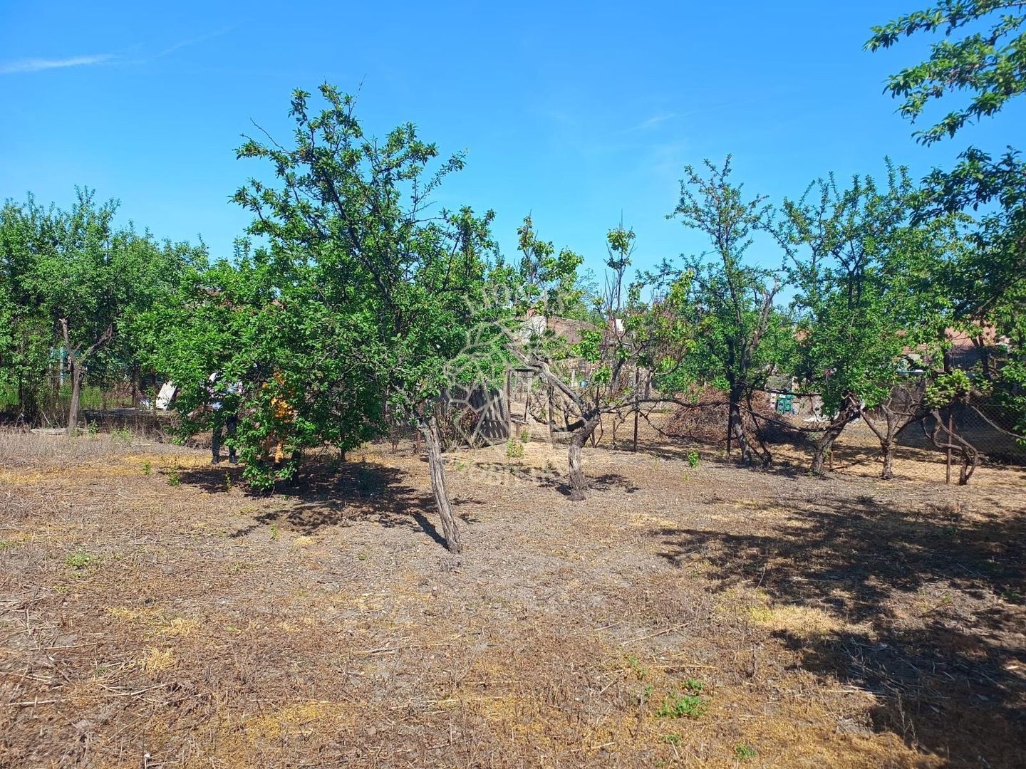 Restaurant 175 mp si apartament 71,7 mp  vanzare Centru Oradea - Poză 10