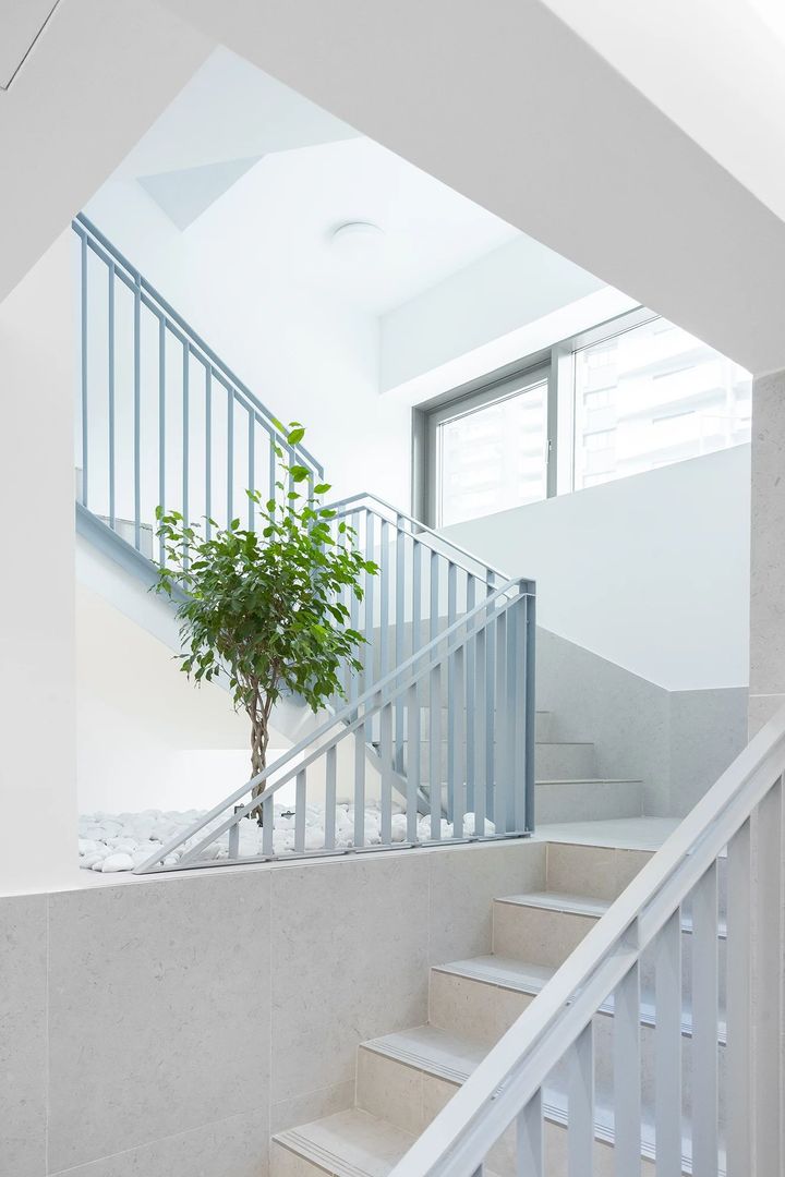 Prima Vista - Poză 17