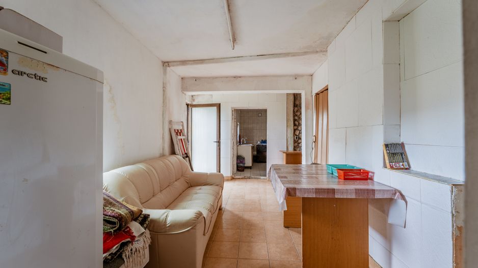 Domeniu în satul Căprioara - Poză 33