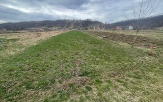 Vânzare teren 3145 mp – Mănăstirea Cașin, Onești - Poză 6