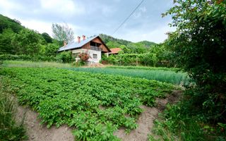 Casa cu teren generos - 4696 mp Apa Sarata - Campulung !! - Poză 9