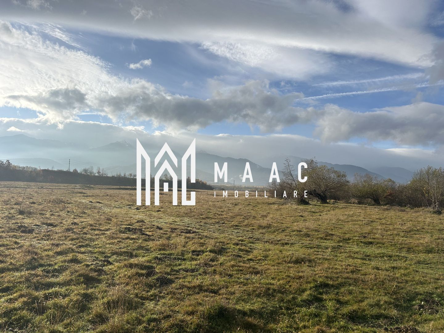 Teren cu potențial turistic I Cârțișoara I 3000 MP - Poză 4