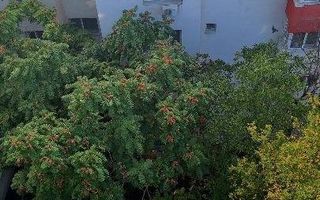 Apartament 3 camere, Clucerului - Poză 7