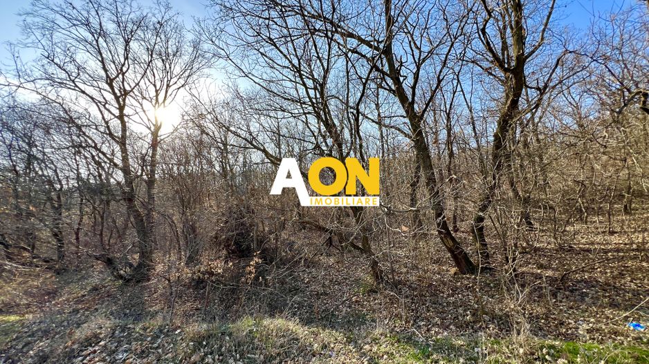 Teren intravilan pretabil cabana/pensiune, aproape de padure, 2100MP - Poză 1