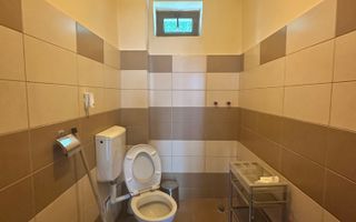 Imobil 3 niveluri, renovat, cu spațiu comercial si 2 ap.- Bd. Victoriei - Poză 10