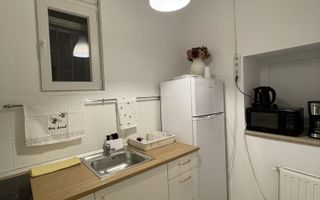 Apartament 2 camere Iosefin - claadire istorica - Poză 4