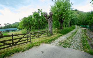 Casa cu teren generos - 4696 mp Apa Sarata - Campulung !! - Poză 15