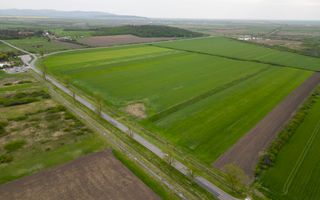 Teren extravilan de 22500mp Zona Ineu - Poză 7