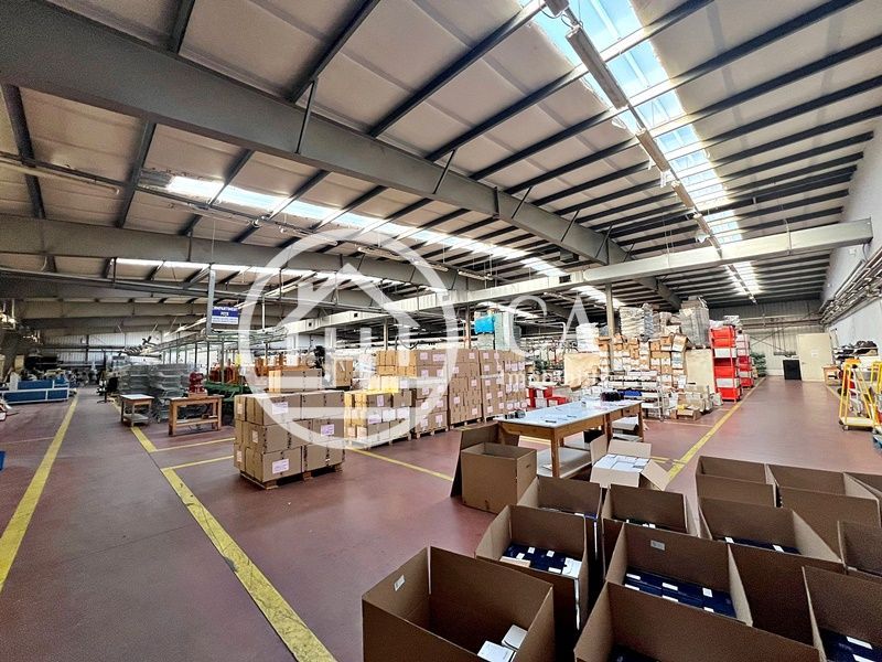 Hală de închiriat în zona industrială Santion, Bihor - Poză 5