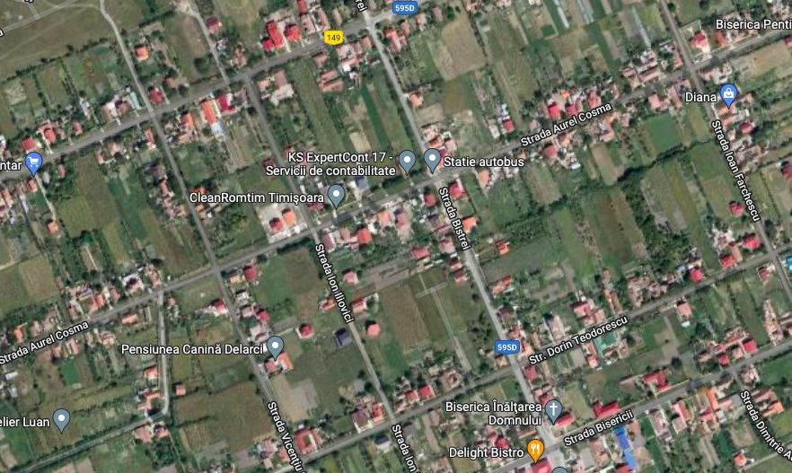 TEREN MOSNITA VECHE - VATRA VECHE 1183 MP - Poză 5