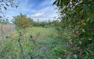 Casa in Dudestii teren 2712 mp - Poză 17