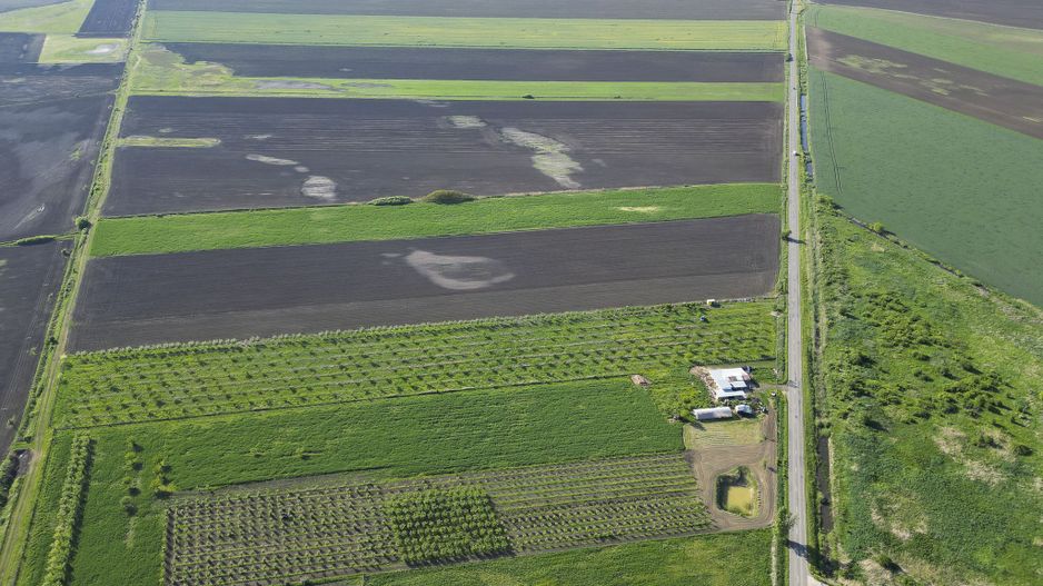 Livadă de nuci și pruni 2.4ha în Variașul Mare - Poză 17