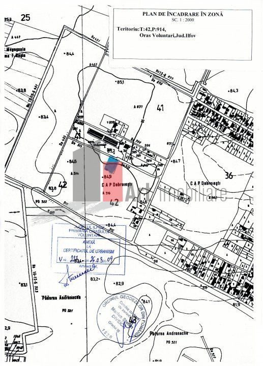 Teren Intravilan Matei Milo - Poză 5