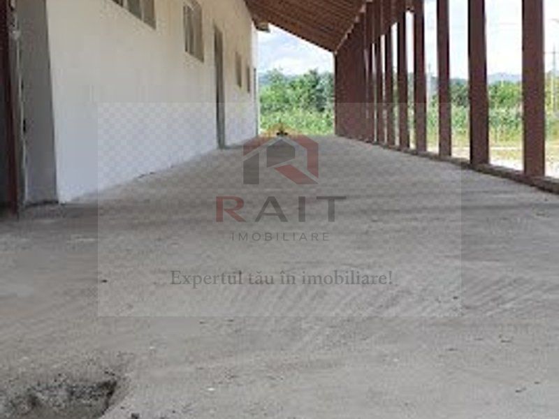 Hala de Inchiriat Godeni Arges - Poză 3