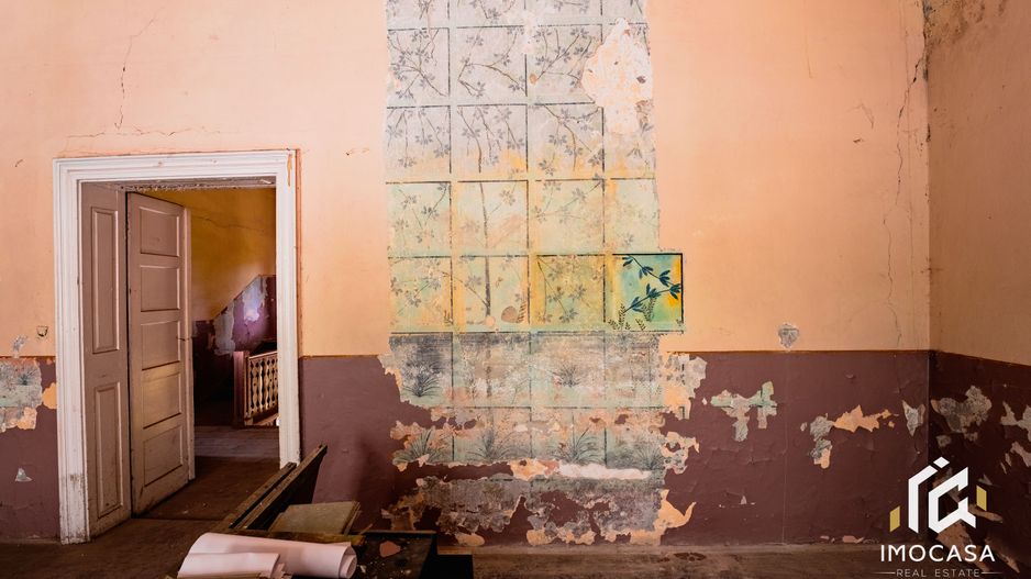 Vila Conac boieresc contelui Fabia 1920 de vânzare Păuliș Arad 2,4 ha - Poză 9