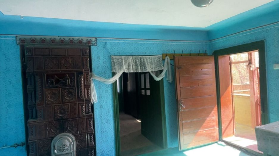 Casa de vanzare in Balcaciu + Teren suplimentar - Poză 3