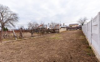 Grădină 300 mp - în oraș - Poză 6