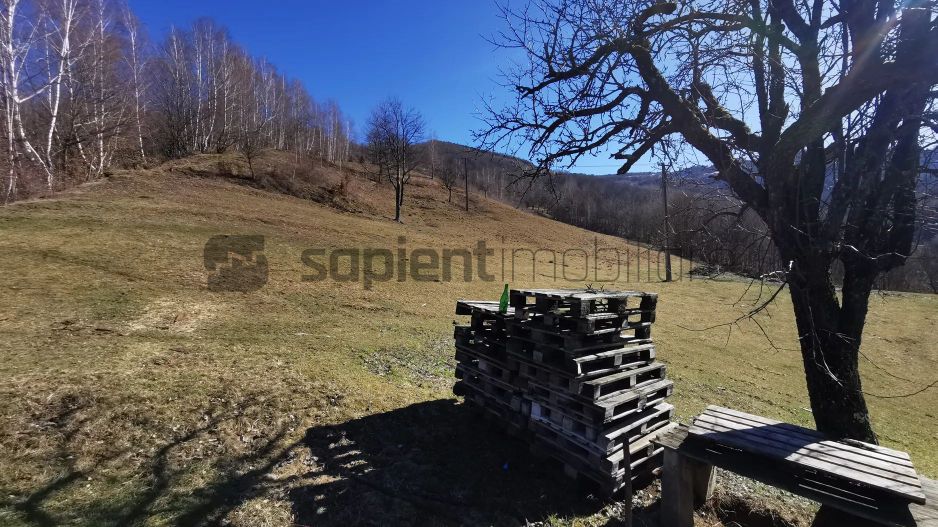 De vânzare teren intravilan 10,100 mp, cu anexă, Munteni - Poză 3