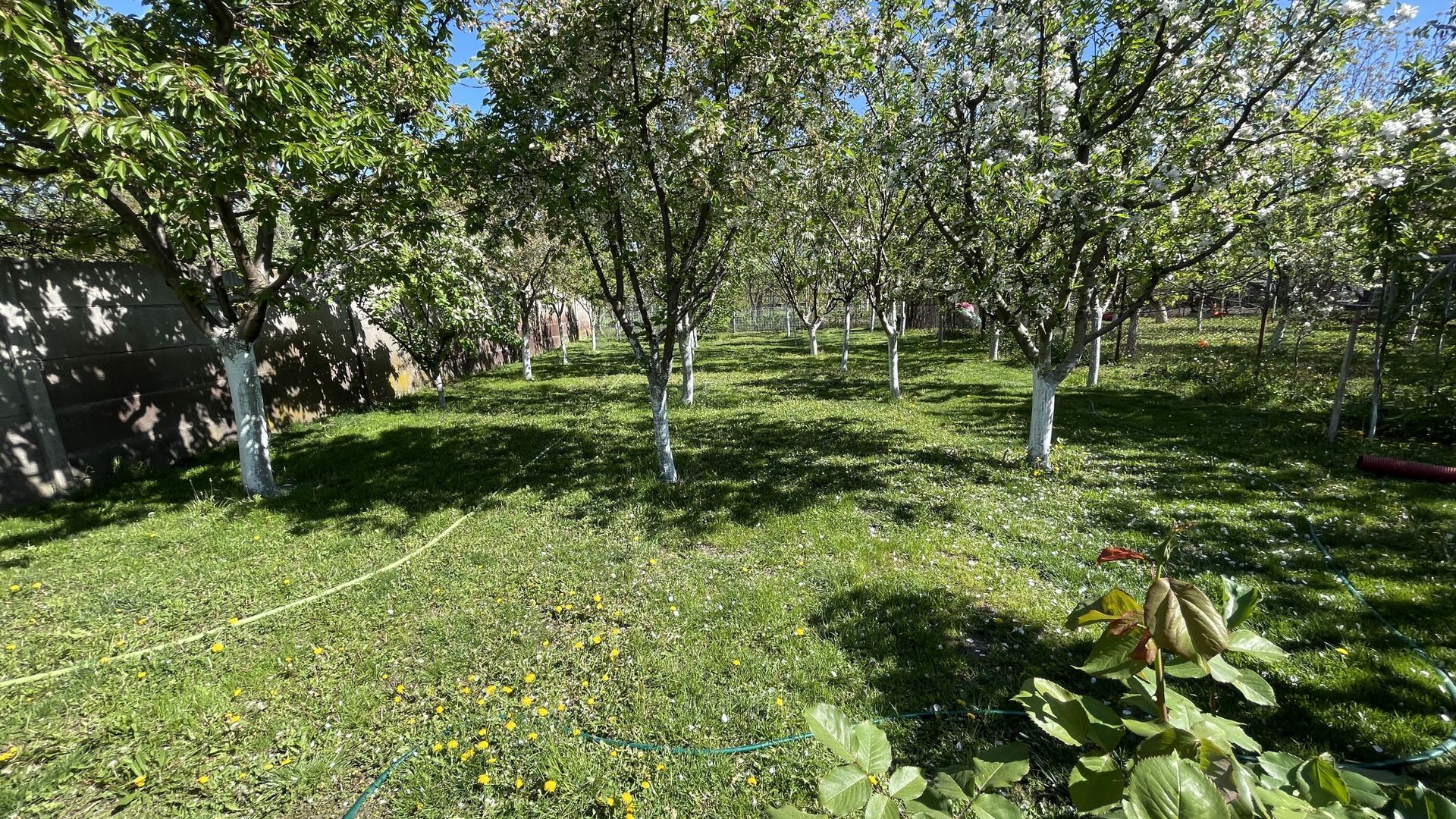 Casa cu teren frumos si garaj zona Mehala - Poză 21