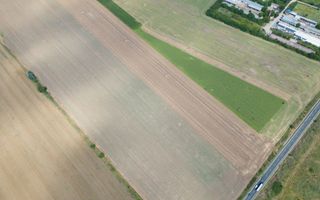 Teren extravilan 12.000 mp DN79 Arad-Oradea - Poză 6