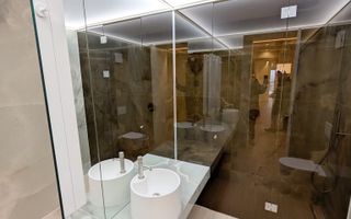 Innhiriere Penthouse Iancu Nicolae Gradina Zoologica - Poză 21