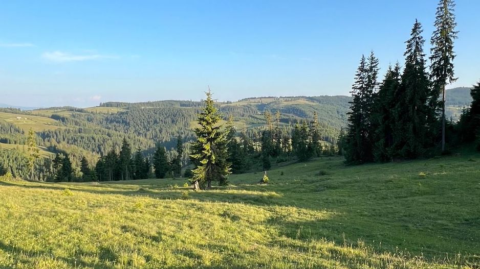 50 hectare teren | Moldova-Sulita | Potential turistic si agricol - Poză 17