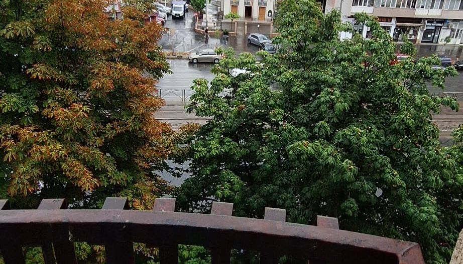 Apartament modern, trei camere, Iancului - Poză 13