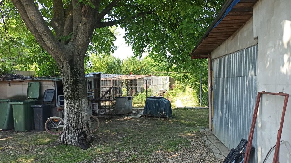 vila indiv+1198mp teren/pe DN4(sosBucuresti) in Frumusani/jud.Calarasi - Poză 65