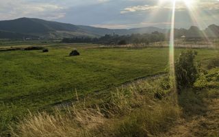 Teren intravilan | 5-26 ari | Crainimăt - Poză 4