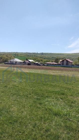 Teren extravilan 7.200 mp, Bordea - Grajduri, oportunitate investiție - Poză 5