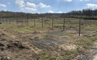 Terenuri intravilan în satul Vladiceni, comuna Tomești - Poză 3