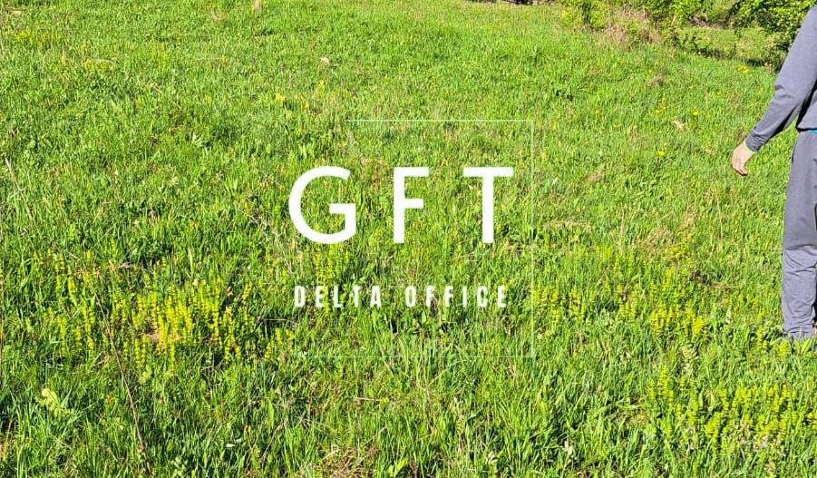 Teren extravilan de vanzare, Bistrita Bargaului- 10 minute de Colibita - Poză 7