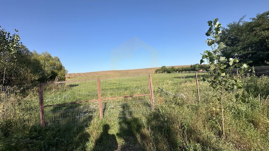 Vanzare teren 2936 mp, zona strada Dealu Fanatelor - Poză 3