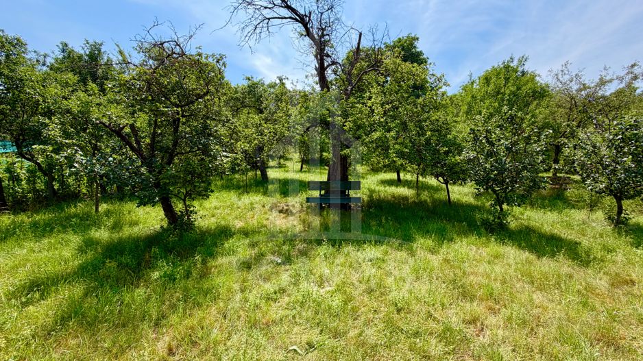 Casă de vânzare-teren 2.300 mp| Ocna Sibiului - Poză 30