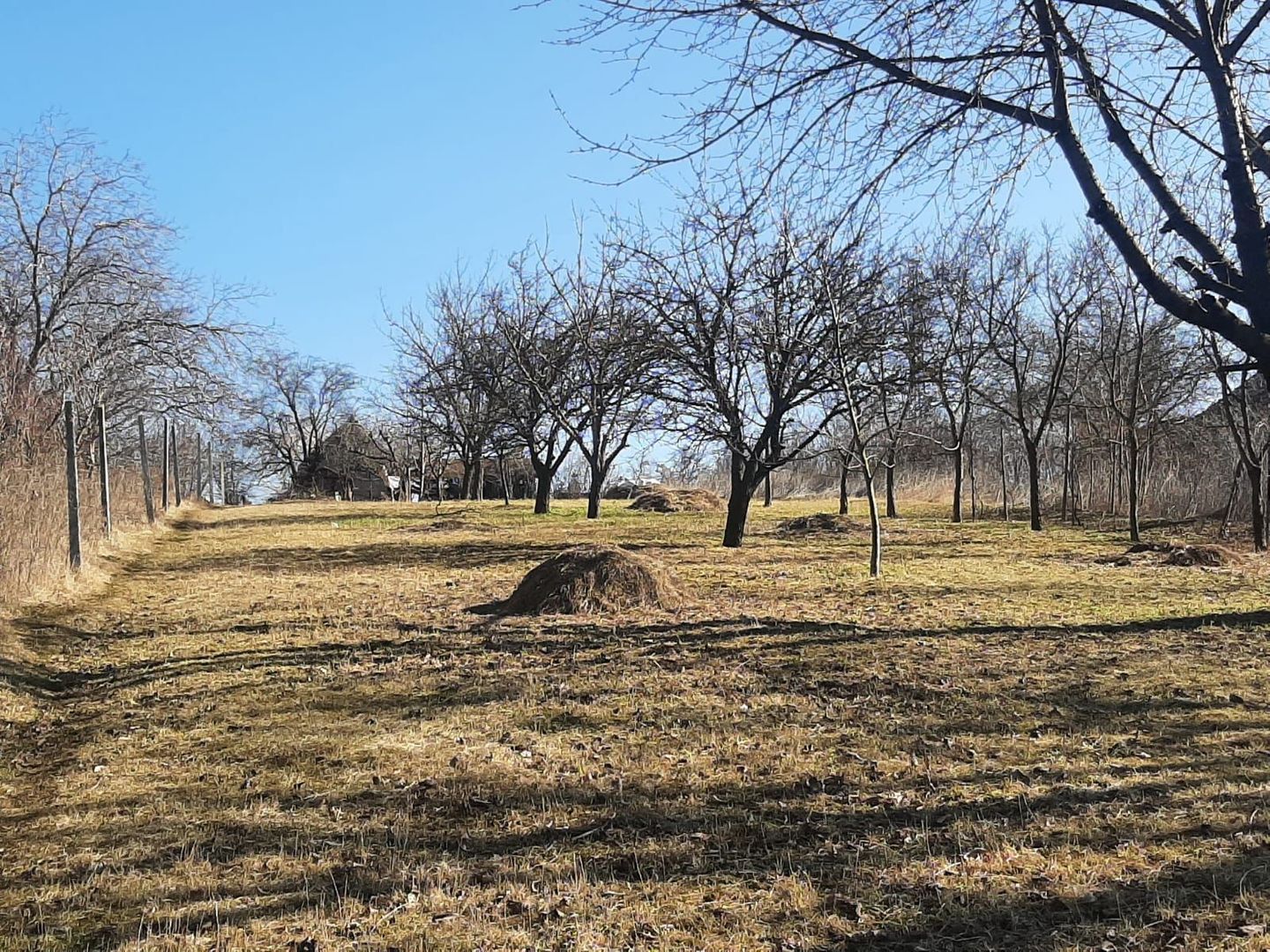 Teren de vanzare in Turda - Poză 4