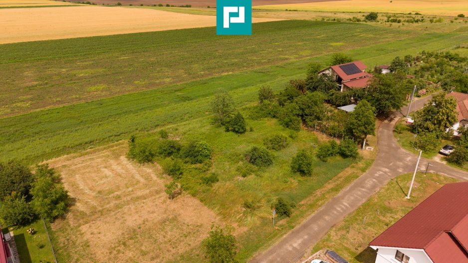 Teren intravilan de 602mp în Cicir, Vladimirescu - Poză 4