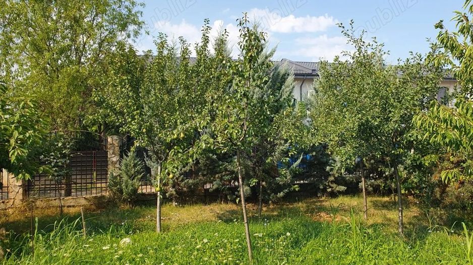 De vanzare teren 562mp + foisor si beci, Bragadiru - Poză 2