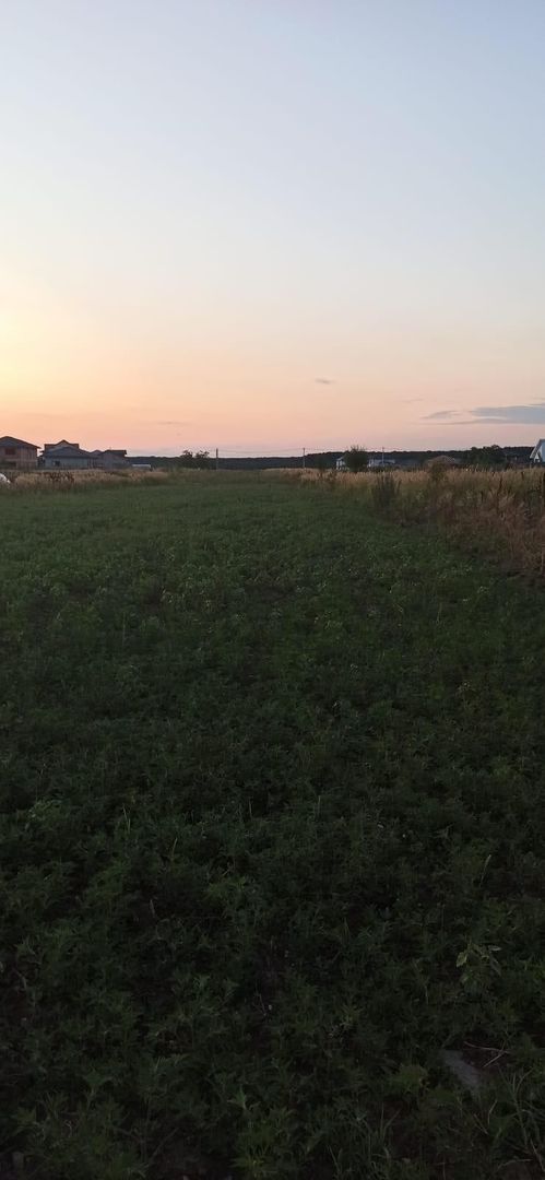 Teren Branesti - Strada Noua - Poză 6