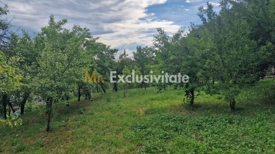Teren intravilan  1400 mp - Albota ! - Poză 5