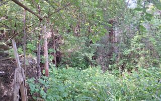 Casă cu 3 camere și teren generos, în Andrei Mureșanu - Poză 3