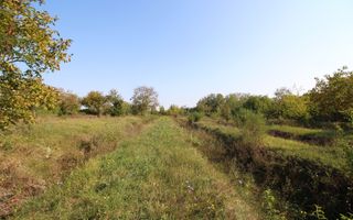 Teren 5963 mp deschidere lac Grivita 42 m cu deschidere la strazi 77 m - Poză 15