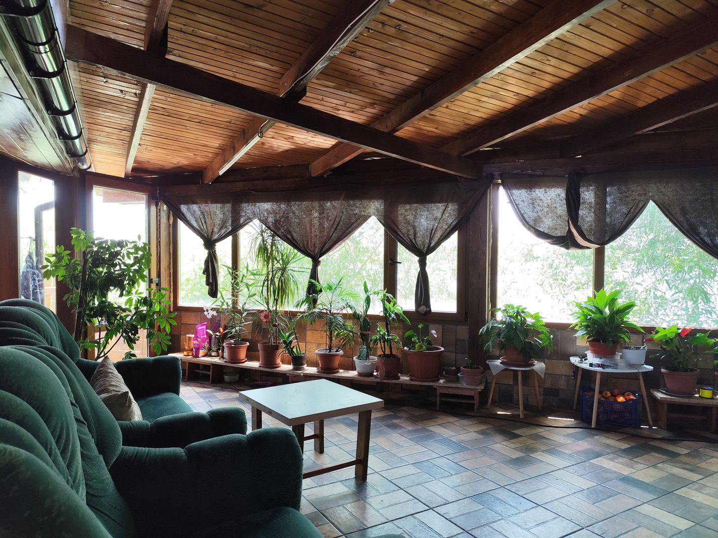 Balta de Pescuit | Cabana din Busteni | Teren 6,37 ha | langa Oradea - Poză 12