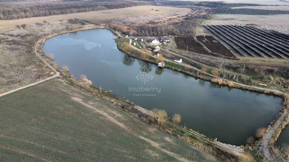 Vanzare balta pescuit, Jud Giurgiu, sat Valter Maracineanu - Poză 3