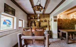 Domeniu în satul Căprioara - Poză 71