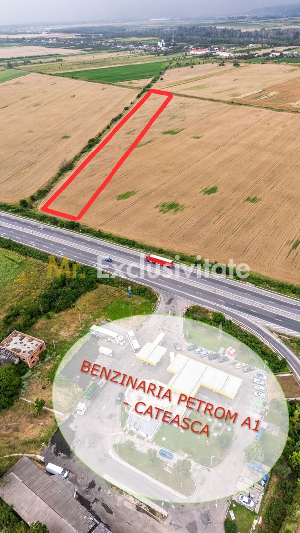 Teren investitional 9.303 mp | Proximitate Autostrada A1 | Cateasca - Poză 1