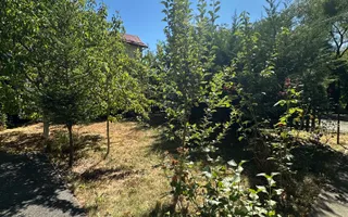Apartament in vila, 90 mp, 2 dormitoare si 2 bai – Grigorescu, Donath - Poză 13