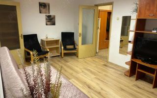 Apartament 2 camere de închiriat Tineretului - Poză 1