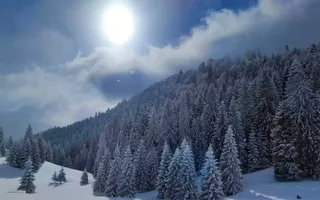 Pensiune 10 camere in statiunea Muntele Baisorii - Poză 22