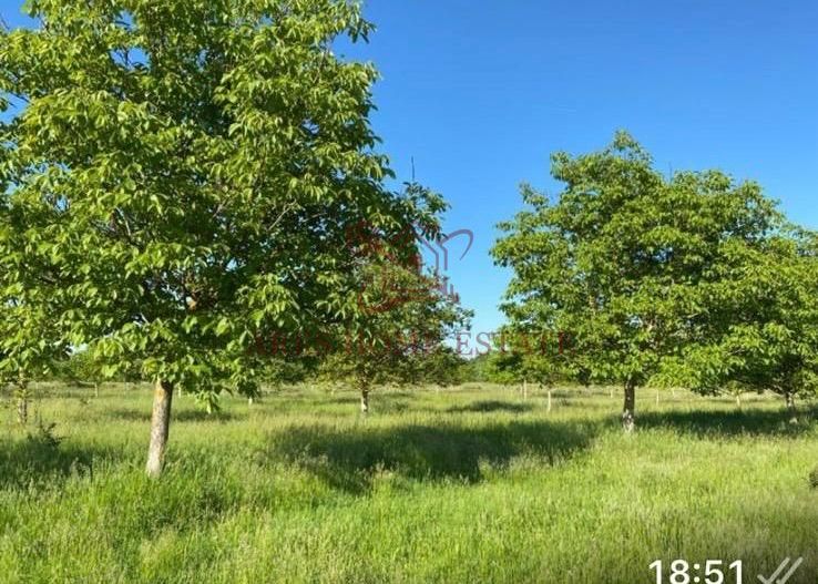 Teren intravilan 641 mp, deschidere 21 m - Mosnita - Poză 4