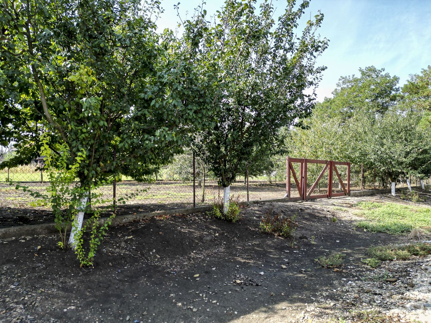 Teren intravilan localitatea Iratoșu - Poză 5